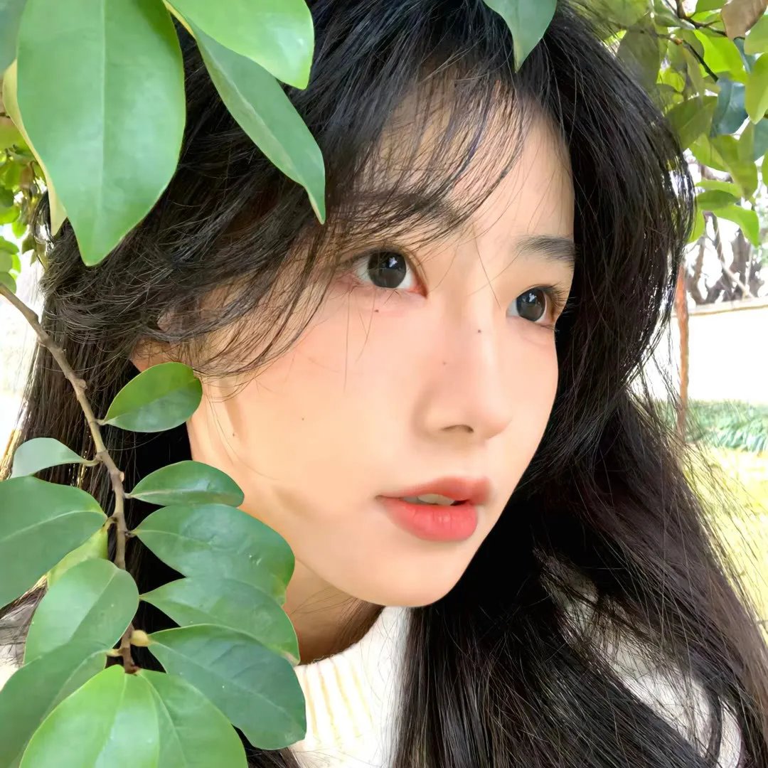 冬季公主